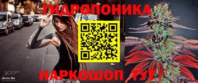 крисы Бузулук