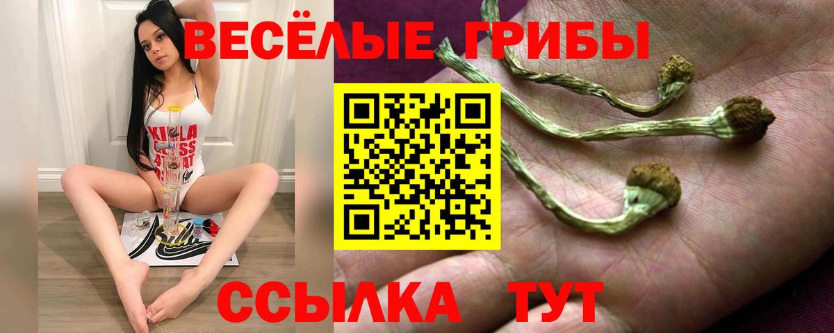 Галлюциногенные грибы Psilocybine cubensis  Вход с VPN  Новоалтайск  Галлюциногенные грибы Cubensis 